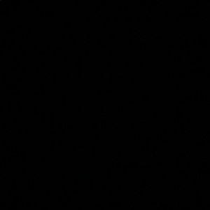 Meet your Posher, Temur